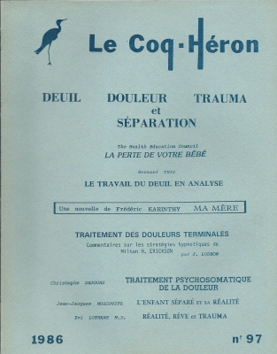 Couverture de l'ouvrage : Deuil, douleur, trauma et séparation