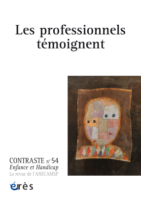 Couverture de l'ouvrage : Les professionnels témoignent