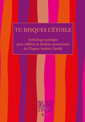 Couverture de l'ouvrage : Tu risques l'étoile