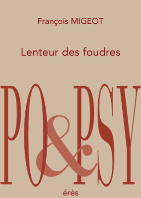 Couverture de l'ouvrage : Lenteur des foudres