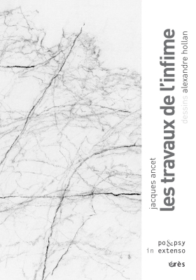 Couverture de l'ouvrage : Les travaux de l'infime
