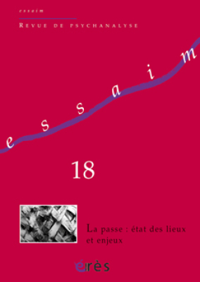 Couverture de l'ouvrage : La passe : état des lieux et enjeux