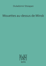 Mouettes au-dessus de Minsk