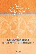 Les nouveaux enjeux identificatoires à l’adolescence